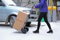 Xe đẩy hàng 2 bánh gấp gọn Nikawa NK-200DN